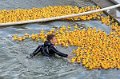 Maschsee13   709